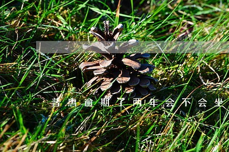 普惠逾期了两年会不会坐牢