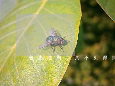 普惠逾期了买不买得到高铁票 普惠逾期了买不买得到高铁票