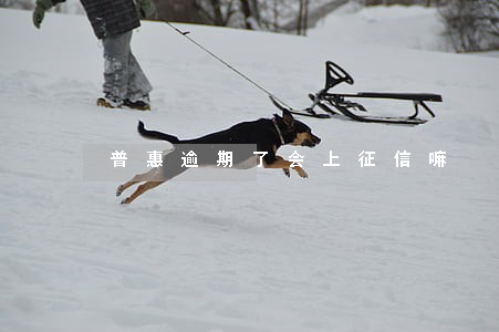 普惠逾期了会上征信嘛 普惠逾期了会上征信嘛
