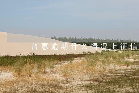普惠逾期什么情况上征信