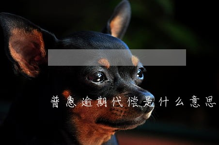 普惠逾期代偿是什么意思 普惠逾期代偿是什么意思