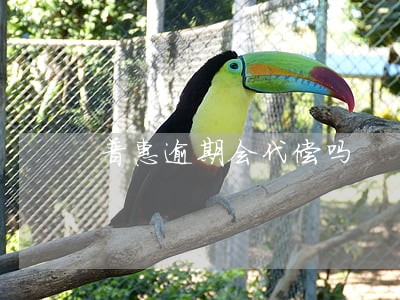 普惠逾期会代偿吗 普惠逾期会代偿吗