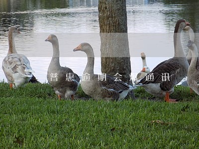 普惠逾期会爆通讯 普惠逾期会爆通讯