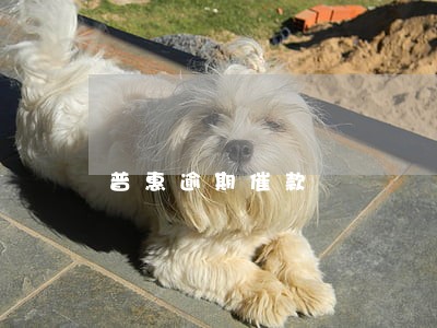 普惠逾期催款