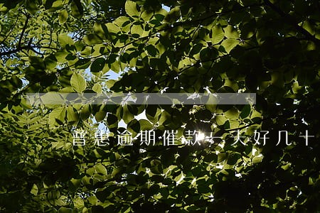 普惠逾期催款一天好几十个电话 普惠逾期催款一天好几十个电话