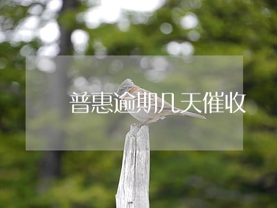 普惠逾期几天催收 普惠逾期几天催收