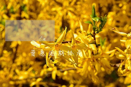 普惠逾期协商 普惠逾期协商