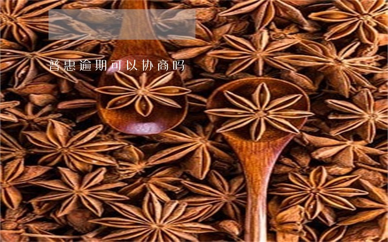 普惠逾期可以协商吗