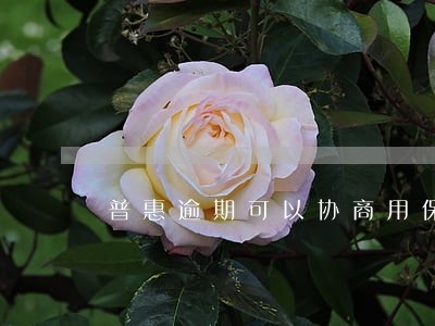 普惠逾期可以协商用保费偿还吗 普惠逾期可以协商用保费偿还吗