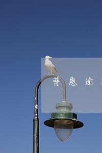 普惠逾期四个月了 普惠逾期四个月了