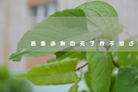 普惠逾期四天了我不想还了 普惠逾期四天了我不想还了