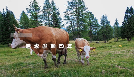 普惠逾期四年 普惠逾期四年