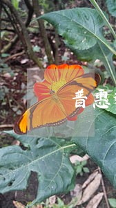 普惠逾期多久会被拉黑 普惠逾期多久会被拉黑