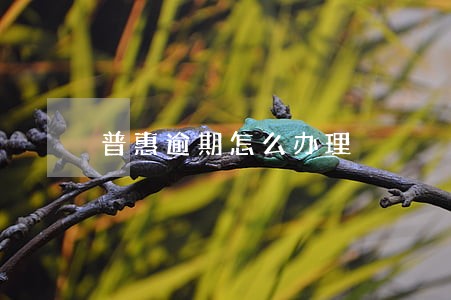 普惠逾期怎么办理 普惠逾期怎么办理