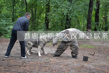 普惠逾期怎么改紧急联系人取消掉 普惠逾期怎么改紧急联系人取消掉