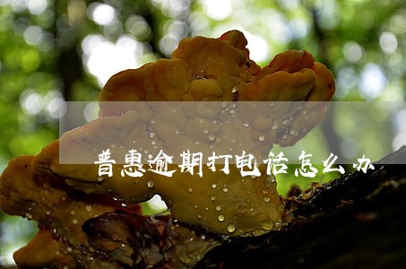普惠逾期打电话怎么办 普惠逾期打电话怎么办
