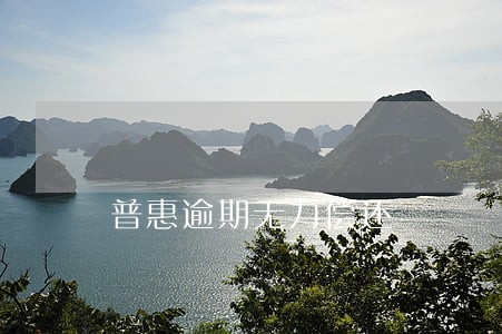 普惠逾期无力偿还 普惠逾期无力偿还