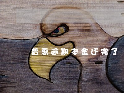 普惠逾期本金还完了 普惠逾期本金还完了