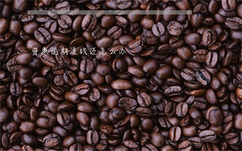 普惠逾期没钱还怎么办 普惠逾期没钱还怎么办