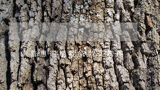 普惠逾期能贷款买房吗 普惠逾期能贷款买房吗