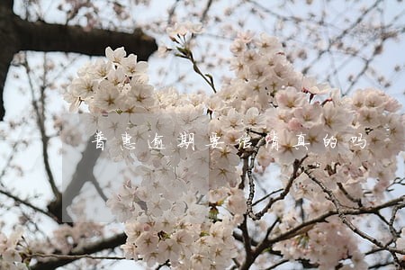 普惠逾期要结清真的吗