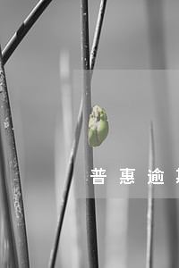普惠逾期资产保全怎么办 普惠逾期资产保全怎么办