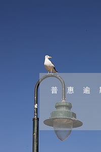 普惠逾期还可以贷款么 普惠逾期还可以贷款么