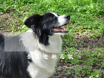 普惠逾期还款 普惠逾期还款