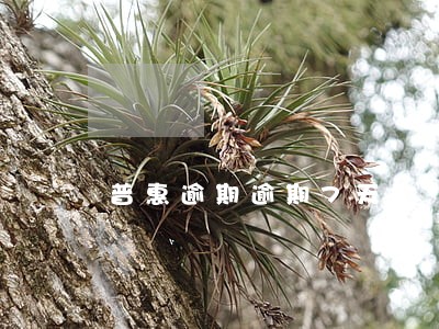 普惠逾期逾期7天 普惠逾期逾期7天