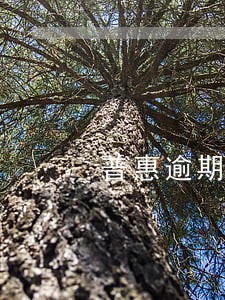 普惠逾期问我要负债证明怎么办 普惠逾期问我要负债证明怎么办
