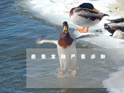 普惠金融严重逾期 普惠金融严重逾期