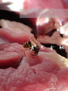 普惠金融分期逾期会怎么样 普惠金融分期逾期会怎么样