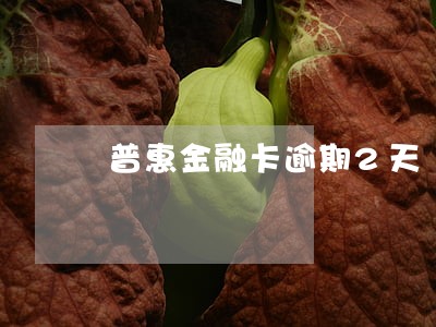 普惠金融卡逾期2天 普惠金融卡逾期2天
