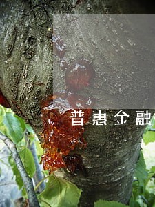 普惠金融发来短信逾期是真的嘛 普惠金融发来短信逾期是真的嘛