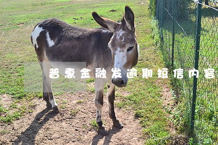普惠金融发逾期短信内容 普惠金融发逾期短信内容