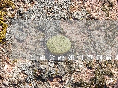 普惠金融如何查询逾期 普惠金融如何查询逾期