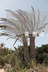 普惠金融说你逾期 普惠金融说你逾期