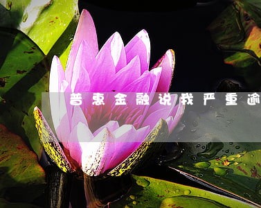普惠金融说我严重逾期 普惠金融说我严重逾期