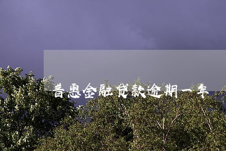 普惠金融贷款逾期一年