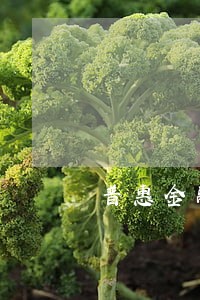 普惠金融逾期1000天 普惠金融逾期1000天