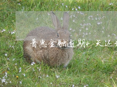 普惠金融逾期4天还300多 普惠金融逾期4天还300多