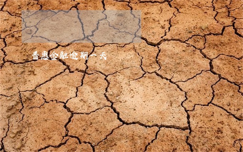 普惠金融逾期一天
