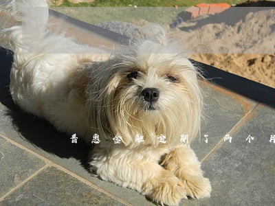 普惠金融逾期了两个月 普惠金融逾期了两个月