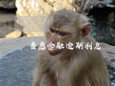 普惠金融逾期利息