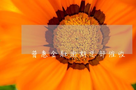 普惠金融逾期总部催收 普惠金融逾期总部催收