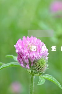 普惠金融逾期扣款时间 普惠金融逾期扣款时间