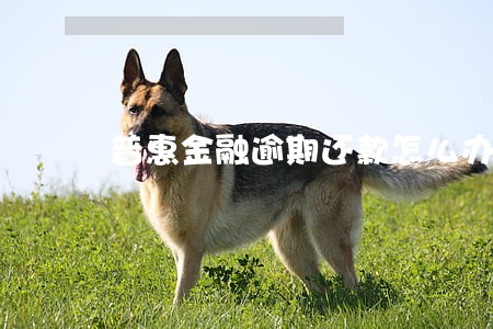 普惠金融逾期还款怎么办 普惠金融逾期还款怎么办