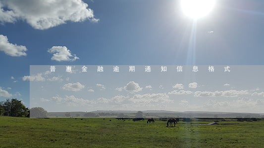 普惠金融逾期通知信息格式 普惠金融逾期通知信息格式