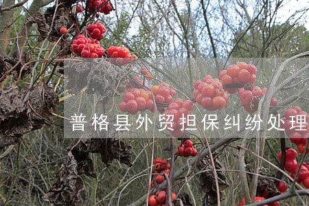 普格县外贸担保纠纷处理律师 普格县外贸担保纠纷处理律师