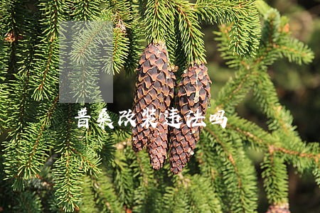 普桑改装违法吗 普桑改装违法吗